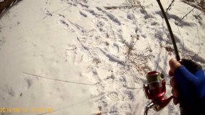 Ловля щуки на "ТЕХАССКУЮ" оснастку.