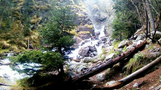 Белая в Мае смотреть онлайн