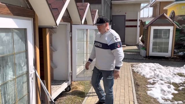 Голуби не должны садиться на дома, деревья, провода… смотреть онлайн