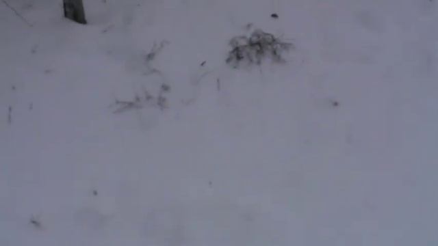 Валентин Задоянов "Кельтское сердце" смотреть онлайн