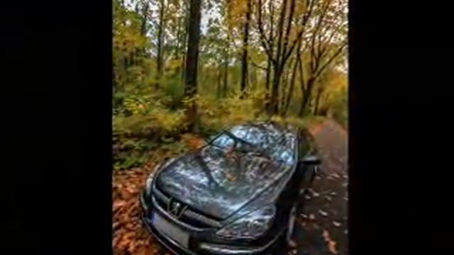 Maz Zco смотреть онлайн