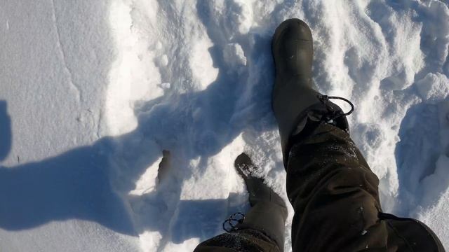 РОТВЕЙЛЕР увидел свою цель. ХАСКИ Майя даже убежала от нас. Прогулка с собаками смотреть онлайн