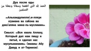 Дуа до и после еды