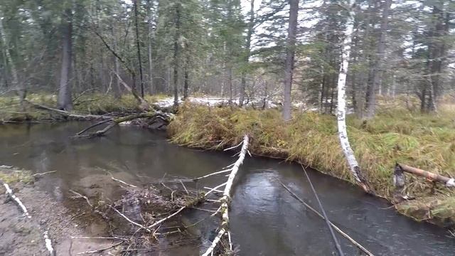 Ловля,Рыбалка на ХАРИУСА- первый СНЕГ/Белая ТАЙГА угостила ХАРИУСОМ! смотреть онлайн