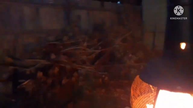 США VLOG: Сыну сняли брекеты/Отпуск старших с отцом/Выходные с младшими - 17 и 18 июня 2022 смотреть онлайн