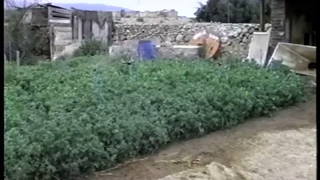 Clase 09: Riego por Aspersión. смотреть онлайн