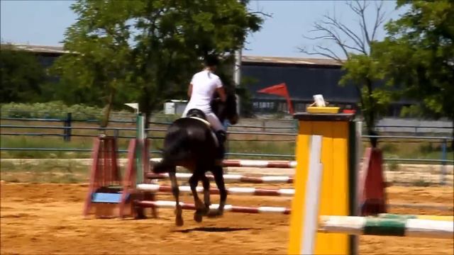 Красногвардейское, 05.06.2011, до 100см., перепрыжка до 110см.