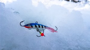 Снова ВЫРУЧИЛ этот балансир! Рыбалка на Волге зимой, ловля со льда в 2022.mp4