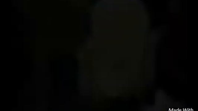 Аниме клип Вакфу и Поздравление канала Eva Foxs от канала Sūpēr Çāt ☺😊😍 смотреть онлайн