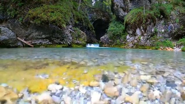 Mountain stream and nature sounds - complete relaxation смотреть онлайн