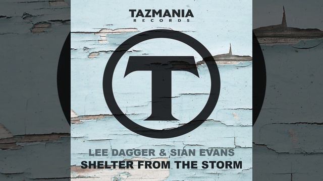 Shelter From The Storm (Dark Intensity Remix) смотреть онлайн