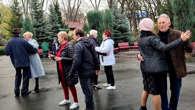 ЛЕБЕДИ ЛЕТЯТ! 5 НОЯБРЯ 2023 ТАНЦЫ ХАРЬКОВ УКРАИНА #dance #kharkiv смотреть онлайн