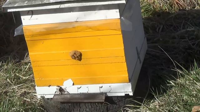 Всё пропало,всё пропало Пришлось поменять основной точёк смотреть онлайн