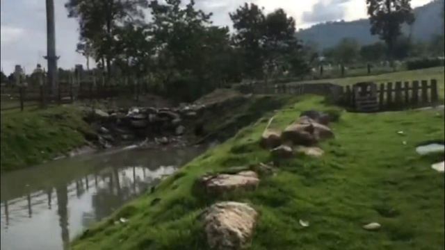 Экскурсия Земля Королей и Альпака Парк Тайланд. смотреть онлайн