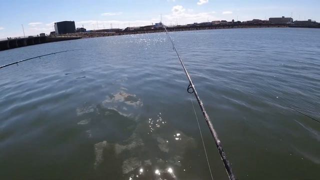 Рыбалка в Дании на Селедку 2022 смотреть онлайн