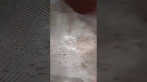 Тойота Ипсум 10 15 плохо греет печка. Промывка радиатора.