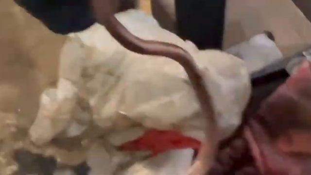 Ремонт ДВС БМВ F10 - думали обрыв цепи, оказалось, слизало звезду ТНВД и поршни ударили по клапанам смотреть онлайн