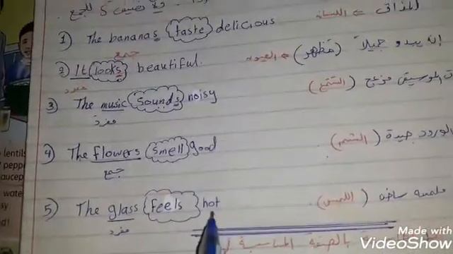 Unit 11/ Grade 5 / Grammar spot + Ex2 смотреть онлайн