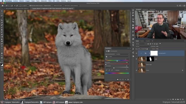Cambiar pelo blanco a negro con Photoshop en muy pocos pasos смотреть онлайн