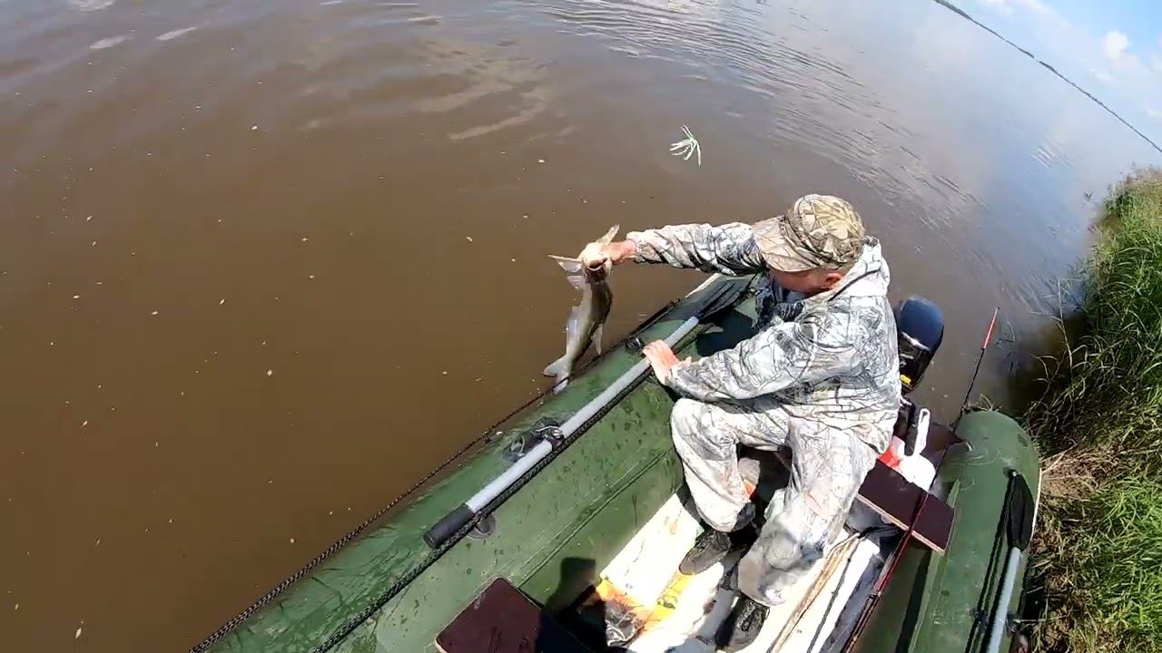 Нашёл рыбную тропу. Рыбалка на спиннинг на Амуре в июле смотреть онлайн