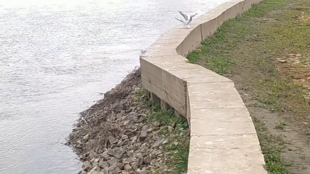На реке Ишим. смотреть онлайн