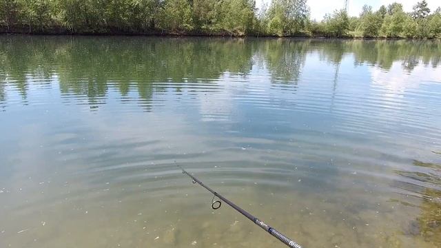 Rapala X - Rap - воблер который всегда выручает. Рыбалка после изоляции. Рыбалка 2020 смотреть онлайн
