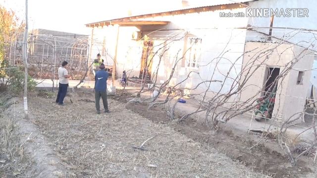 виноград как за капают смотреть онлайн