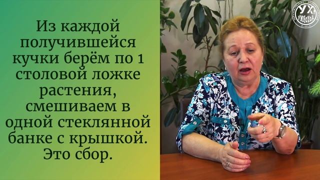 РЕЦЕПТ ВЕТРОГОННОГО СБОРА?? смотреть онлайн