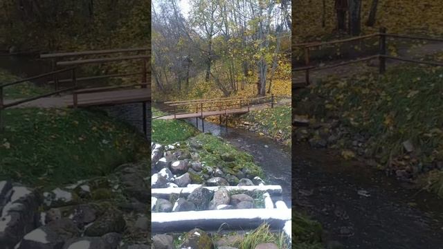 Водяная мельница в Пушкинских горах ноябрь 2023 смотреть онлайн