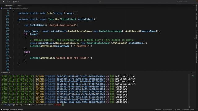 How To Delete a MinIO Bucket Using .Net #dotnet смотреть онлайн