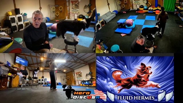 ??⛩️Athletic Humor - Throw with Style - Comfortably Off Balance ?♂️? смотреть онлайн