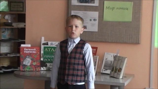 В мире птиц.Хищные смотреть онлайн