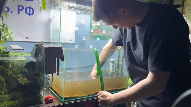 Офисный проект аквариум на 60 литров с вабиксой / LOST WORLD CAMBODGIA Aquarium смотреть онлайн