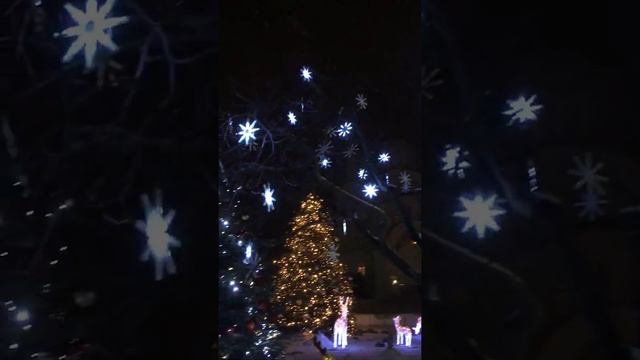 Дивеево перед Рождеством смотреть онлайн
