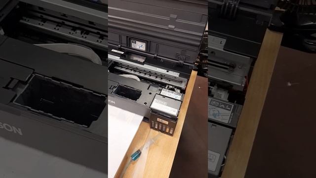 epson l18050 - ускоряем. доработка японской техники русской смекалкой. охлажлаем мотор каретки. смотреть онлайн