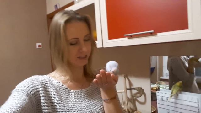 Вечер с моими попугаями. Тоша и Лайма помогают мне готовить ужин 😅 смотреть онлайн