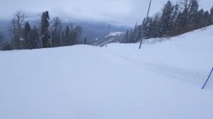 Красная Поляна - Трассы Учебная и реликтовый лес Весной 2022. Март 2021.