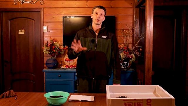 Дендробена. Расселение малька, подсчет, взвешивание смотреть онлайн