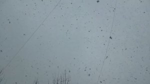 Звук (гул) летящего винтового самолета в небе и падение больших хлопьев снега (красивый снегопад)