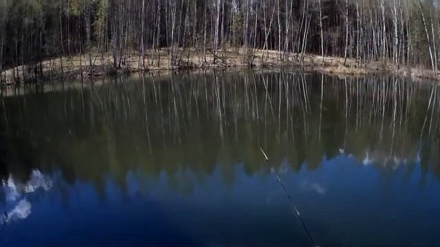 Пробная рыбалка по диким лесным озерам Тульской области с удочкой смотреть онлайн