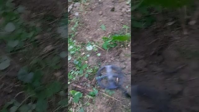 XP ORX тест на глубину #treasurehunting #xpdeus #xpdetectors #клад #копвлесу #леснойкоп #империя смотреть онлайн