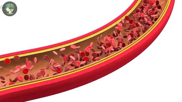 ПОСЛЕДСТВИЯ ЯБЛОЧНОГО УКСУСА ВЫЗЫВАЕТ НЕ ОБРАТИМЫЕ ПОСЛЕДСТВИЕ....как пить яблочный уксус смотреть онлайн