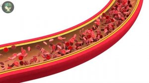 ПОСЛЕДСТВИЯ ЯБЛОЧНОГО УКСУСА ВЫЗЫВАЕТ НЕ ОБРАТИМЫЕ ПОСЛЕДСТВИЕ....как пить яблочный уксус