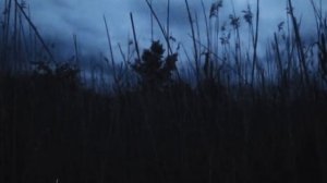 Øneheart - forgotten dreams