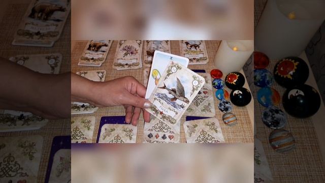 карта дня на 29 сентября смотреть онлайн