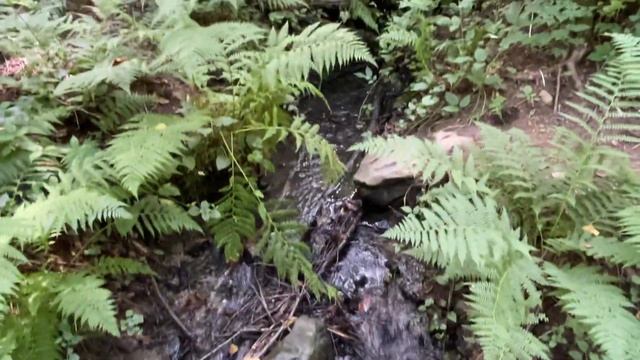 Курорт "Красная поляна" повергла в шок. #Сочи. Подробный обзор смотреть онлайн