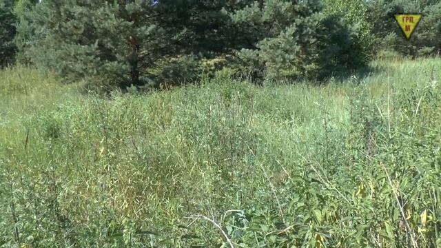 ☢ Радиоактивный могильник в деревне Алёновка. Унечский район. смотреть онлайн