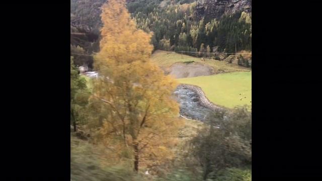 View from Flåmsbana train смотреть онлайн