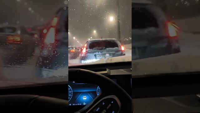 Chery Tiggo 8 Pro Max зимние опции