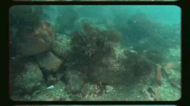 Вот такая подводная находка показалась нам очень символичной сегодня — в день автомобилиста. ? смотреть онлайн